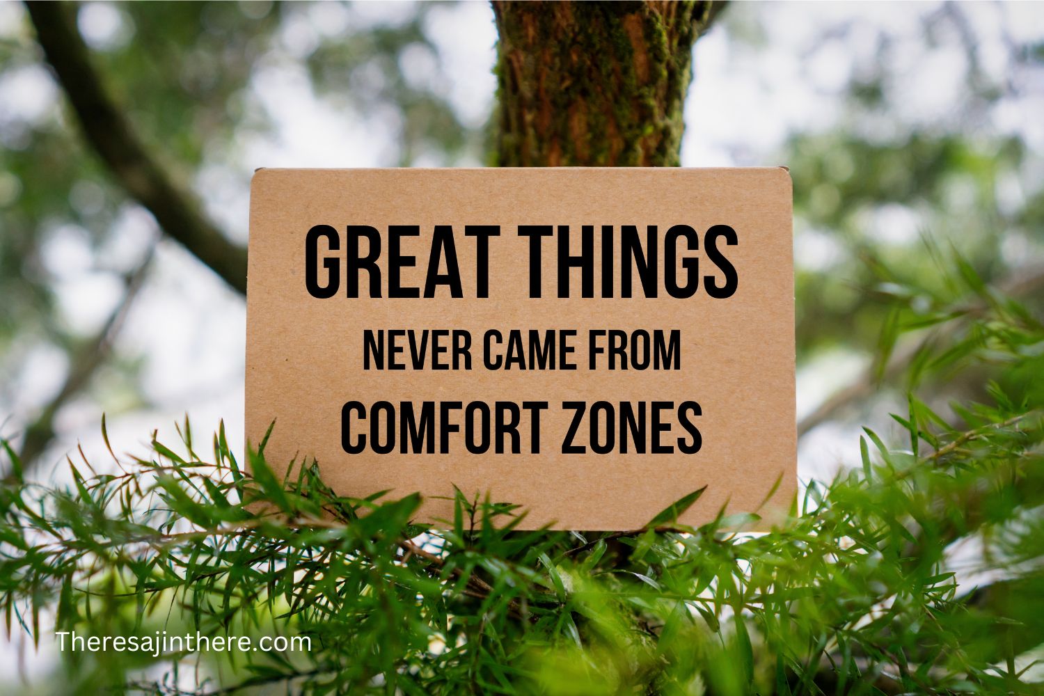 Living IN my comfort zone…